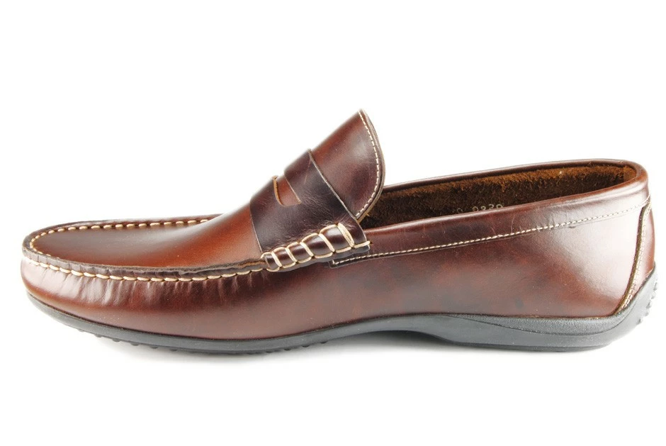 CABRIO America 6 CABRIO America – Image 4