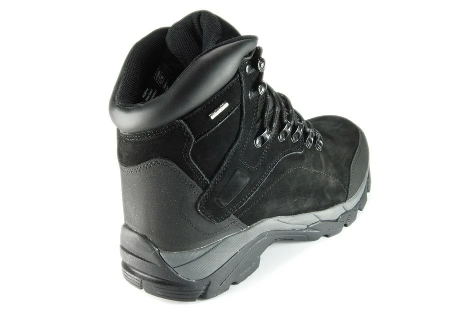 TACOMA 5 TACOMA – Image 3